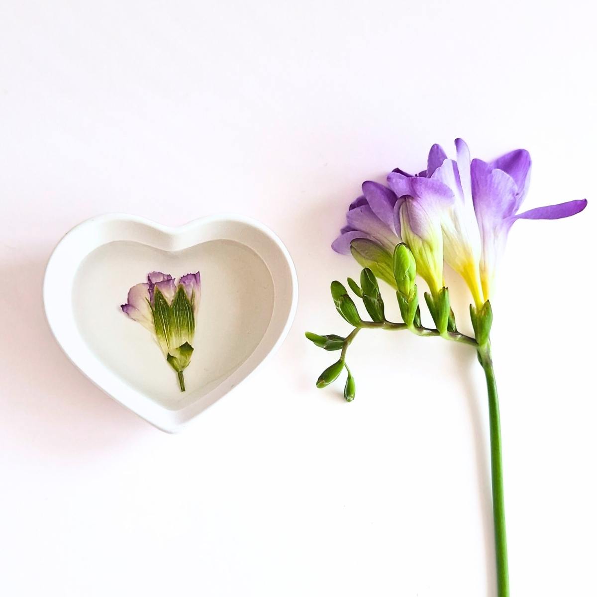 Botanical Small Heart Ring Dish In Multiple Designs