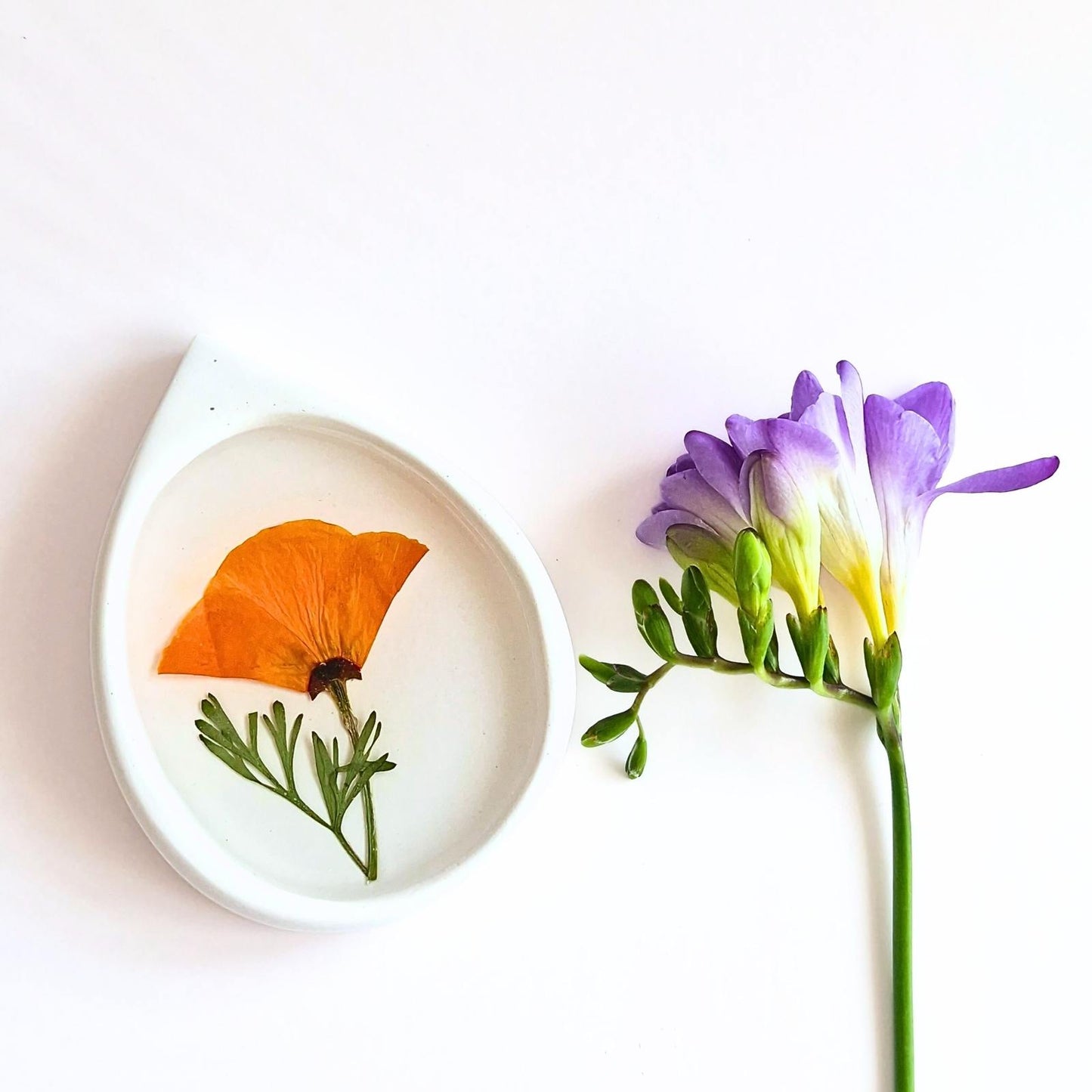 Botanical Ring Dish In Multiple Designs