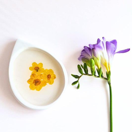 Botanical Ring Dish In Multiple Designs