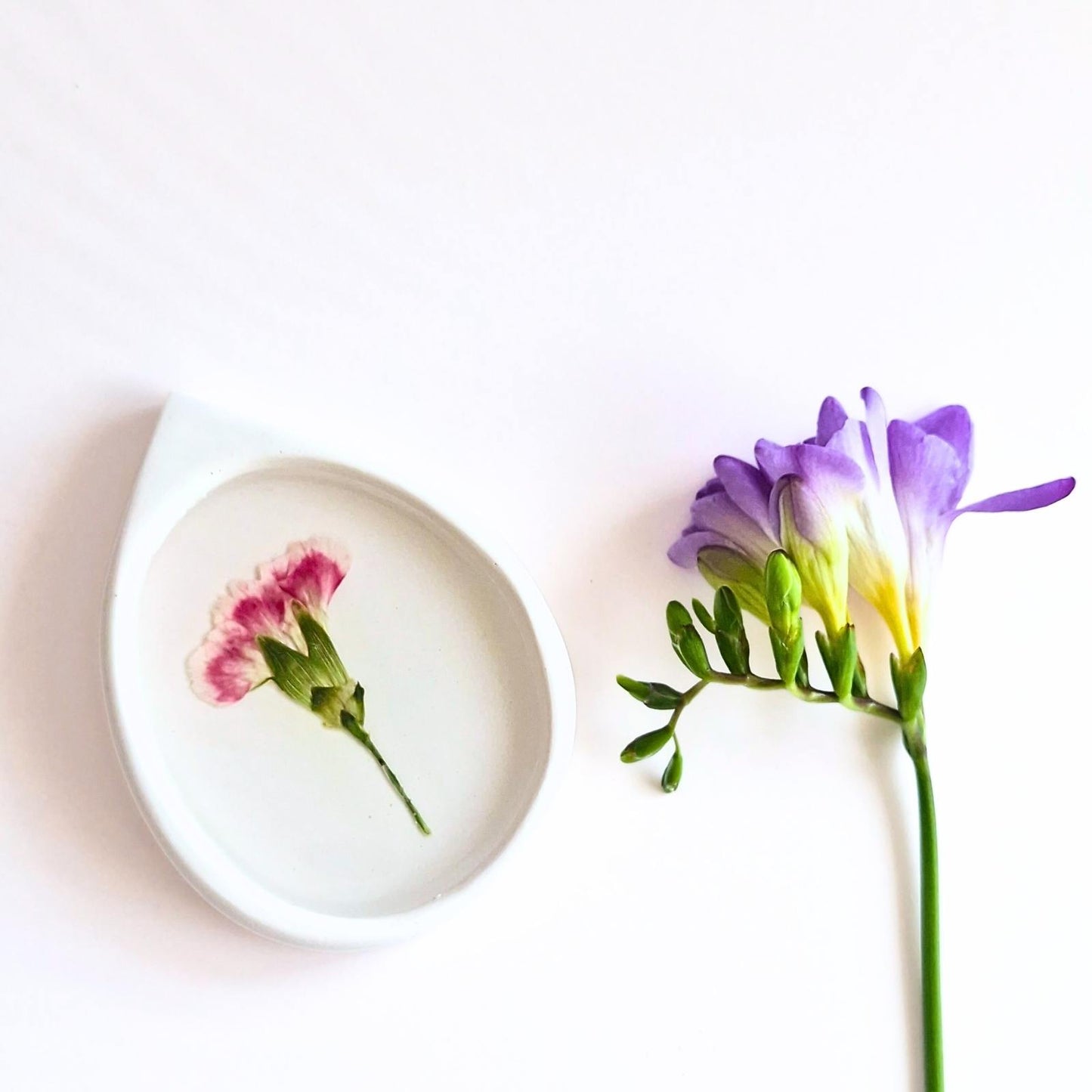 Botanical Ring Dish In Multiple Designs