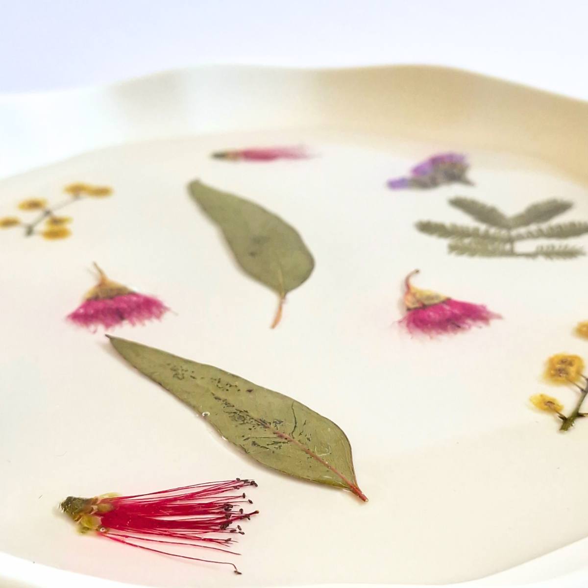 Large Scalloped Botanical Tray | Preserved Australian Native Flowers | Handcrafted Resin