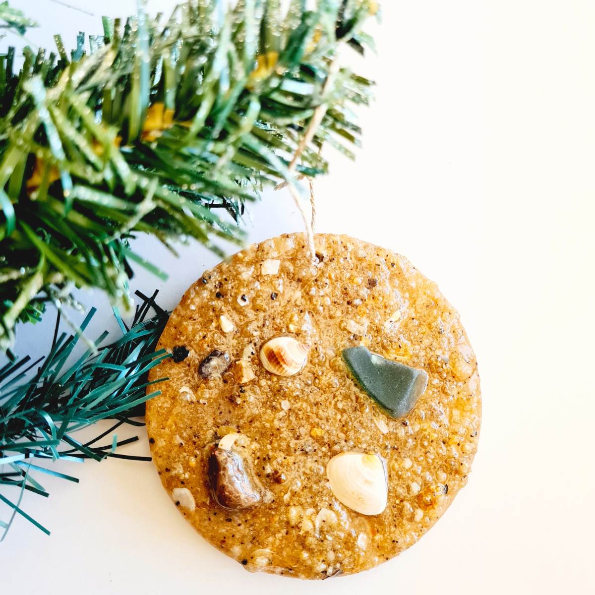 a coastal ornament with shells and sand and seaglass on a white background with a christmas tree branch