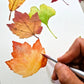 Vibrant Autumn Leaves Watercolor Painting Workshop - Intermediate