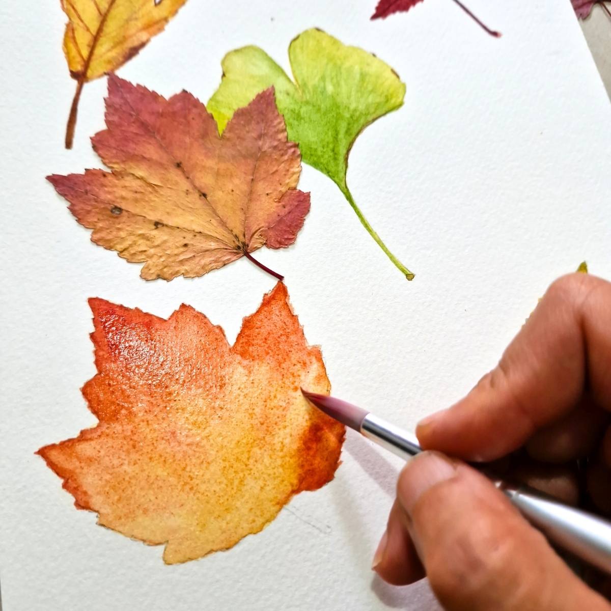 Vibrant Autumn Leaves Watercolor Painting Workshop - Intermediate