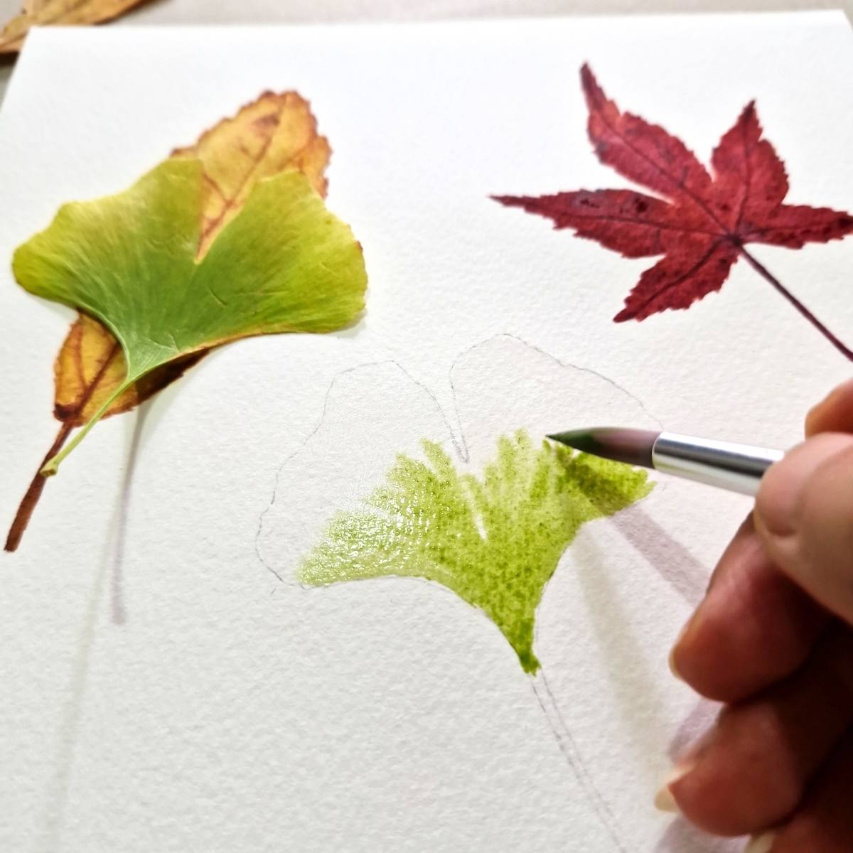Vibrant Autumn Leaves Watercolor Painting Workshop - Intermediate