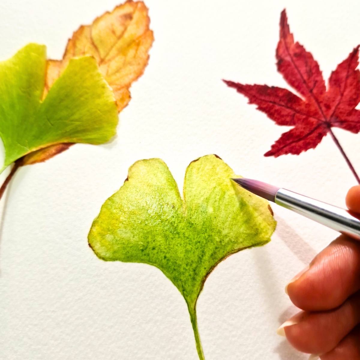 Vibrant Autumn Leaves Watercolor Painting Workshop - Intermediate