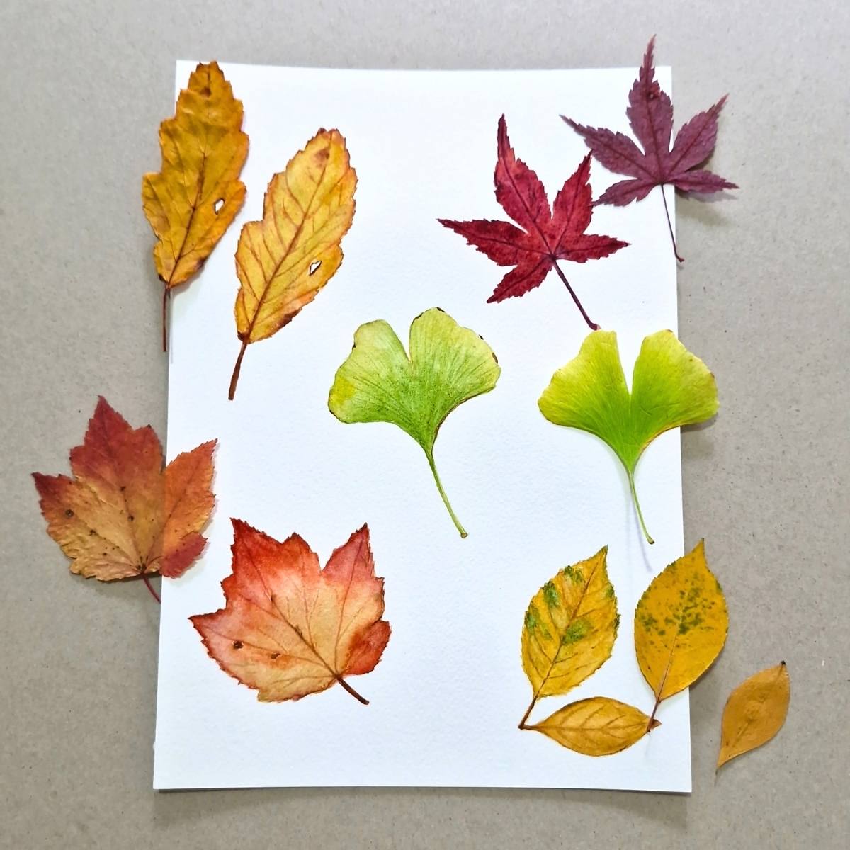 Vibrant Autumn Leaves Watercolor Painting Workshop - Intermediate