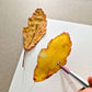 Vibrant Autumn Leaves Watercolor Painting Workshop - Intermediate