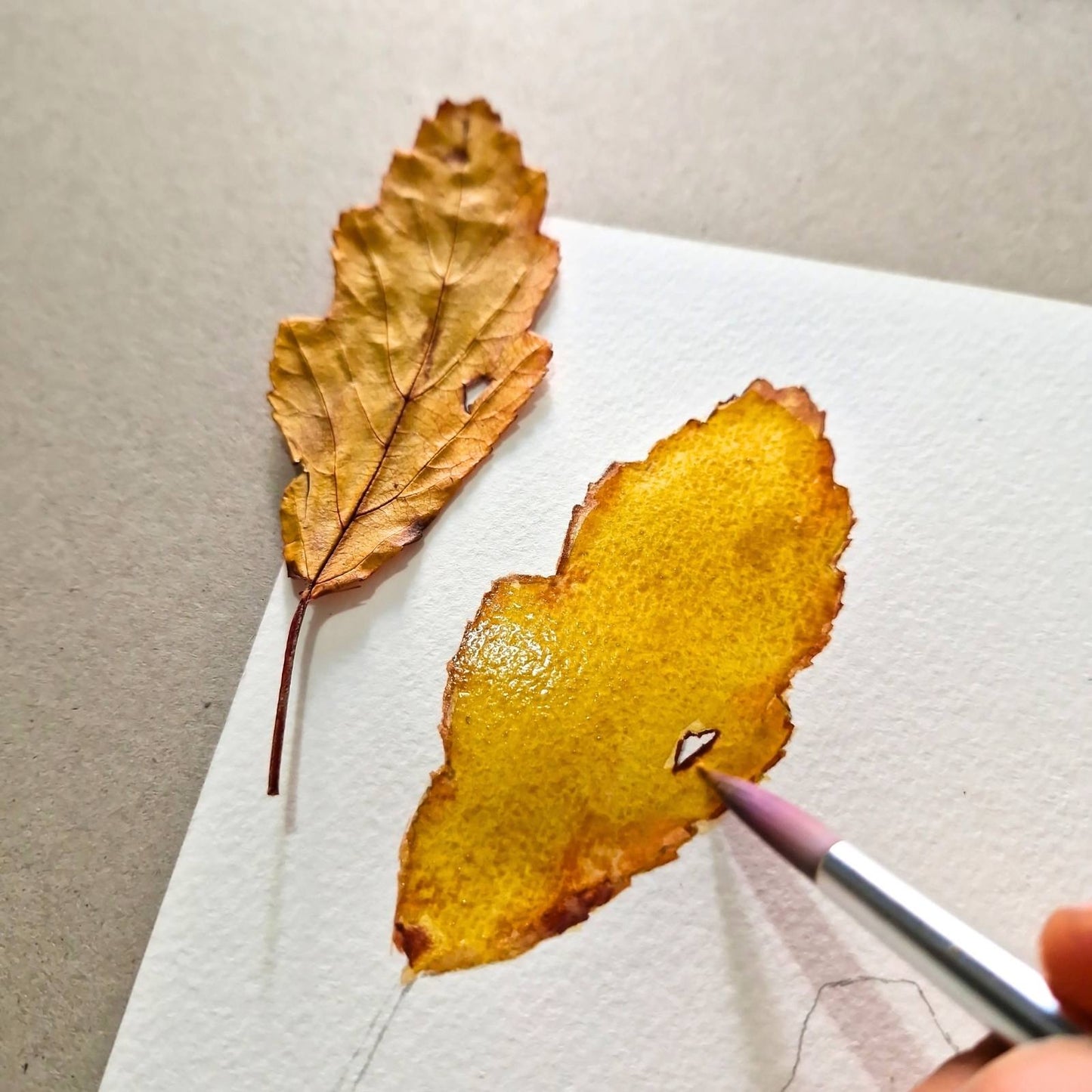 Vibrant Autumn Leaves Watercolor Painting Workshop - Intermediate