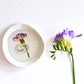 Botanical Jewellery Dish In Multiple Designs