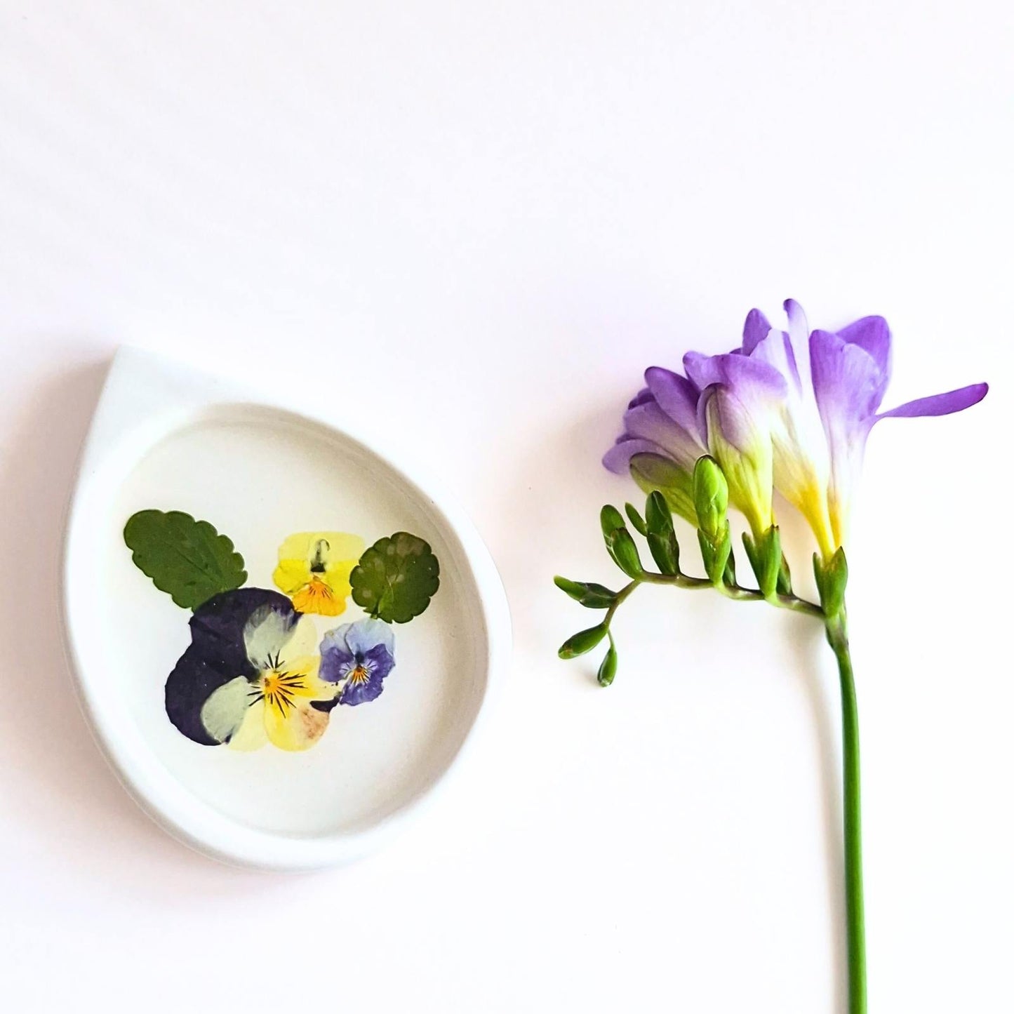 Botanical Ring Dish In Multiple Designs