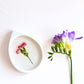 Botanical Ring Dish In Multiple Designs