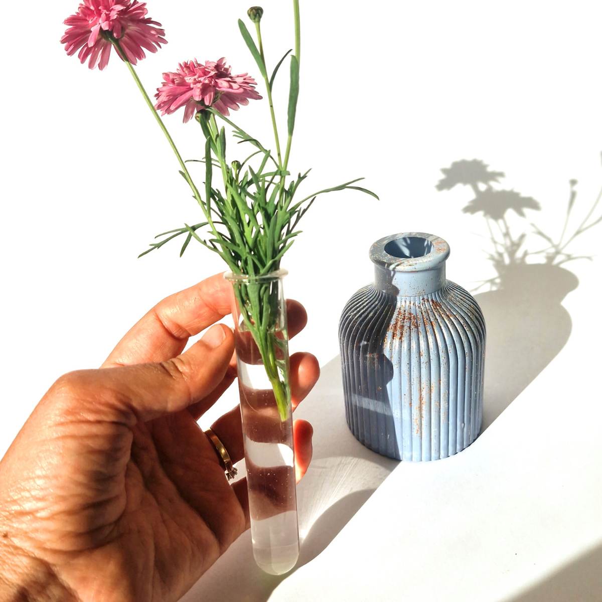 Bud Vase In Four Colors