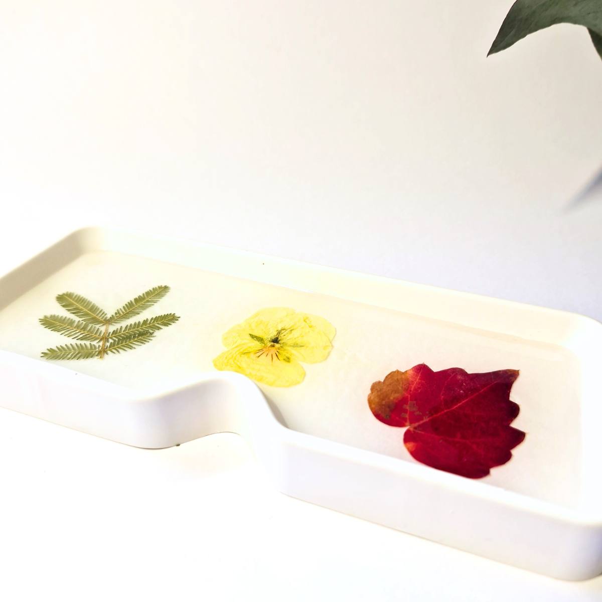 Botanical Eyeglasses Tray - Handmade Home Decor