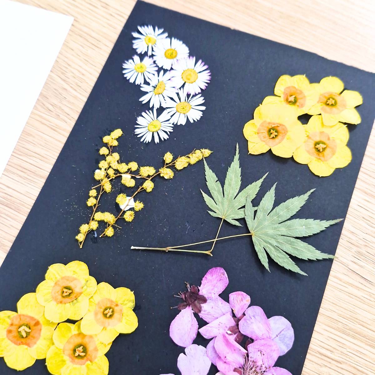 Pressed Flowers Art Workshop Melbourne