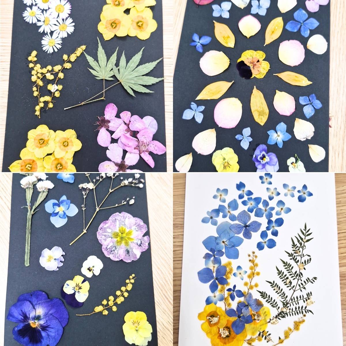 Pressed Flowers Art Workshop Melbourne