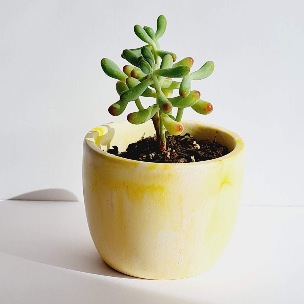 yellow handmade plant pot for succulents