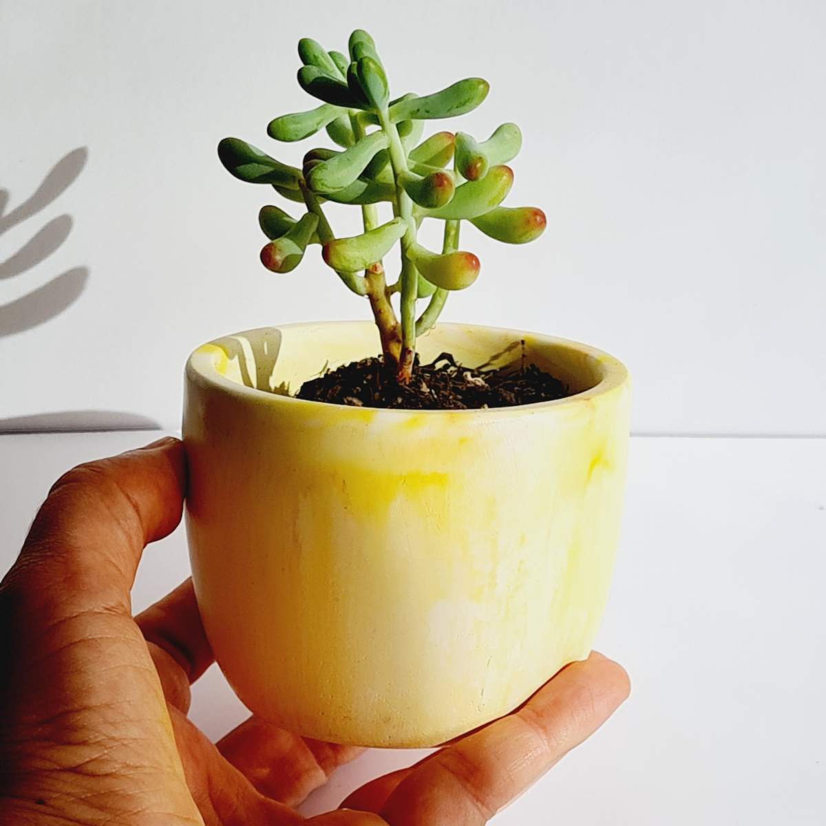 yellow handmade plant pot for succulents