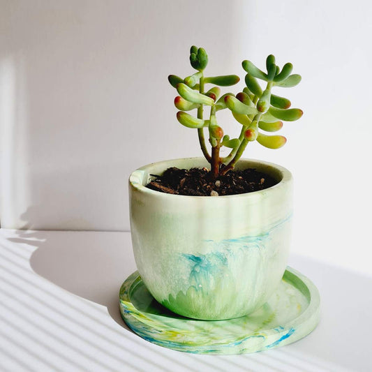 a green plant pot with saucer on a white background with a succulent in  the pot