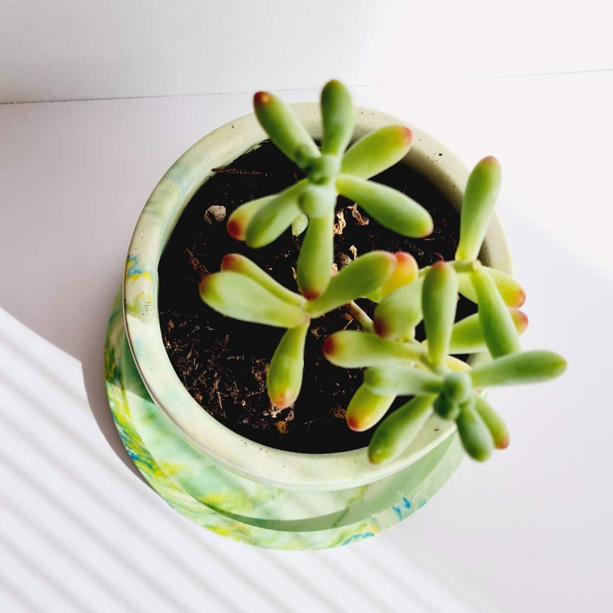 Small Handmade Plant Pot With Saucer - Forest Green