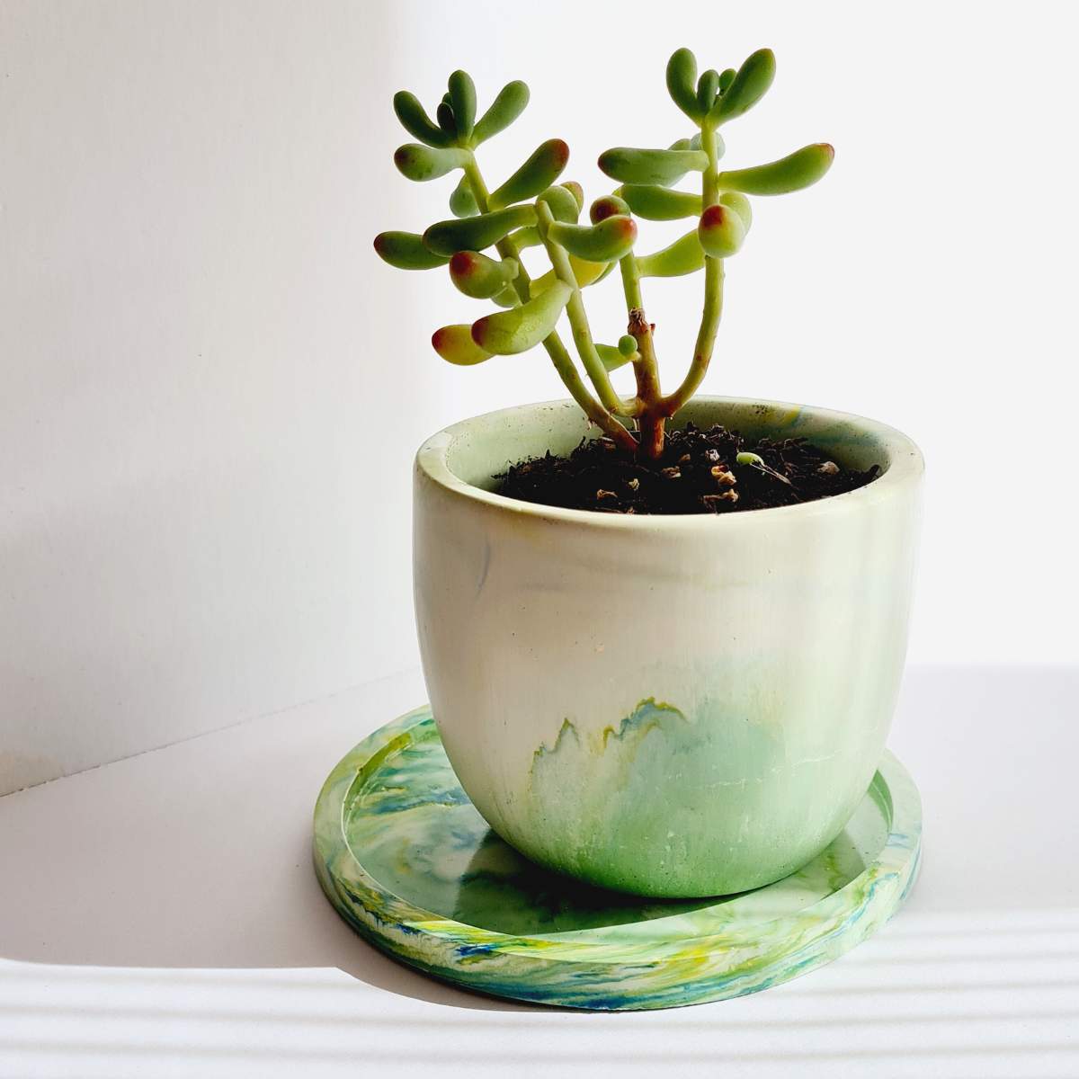 a green plant pot with saucer on a white background