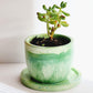 a green plant pot with saucer on a white background with a succulent in  the pot