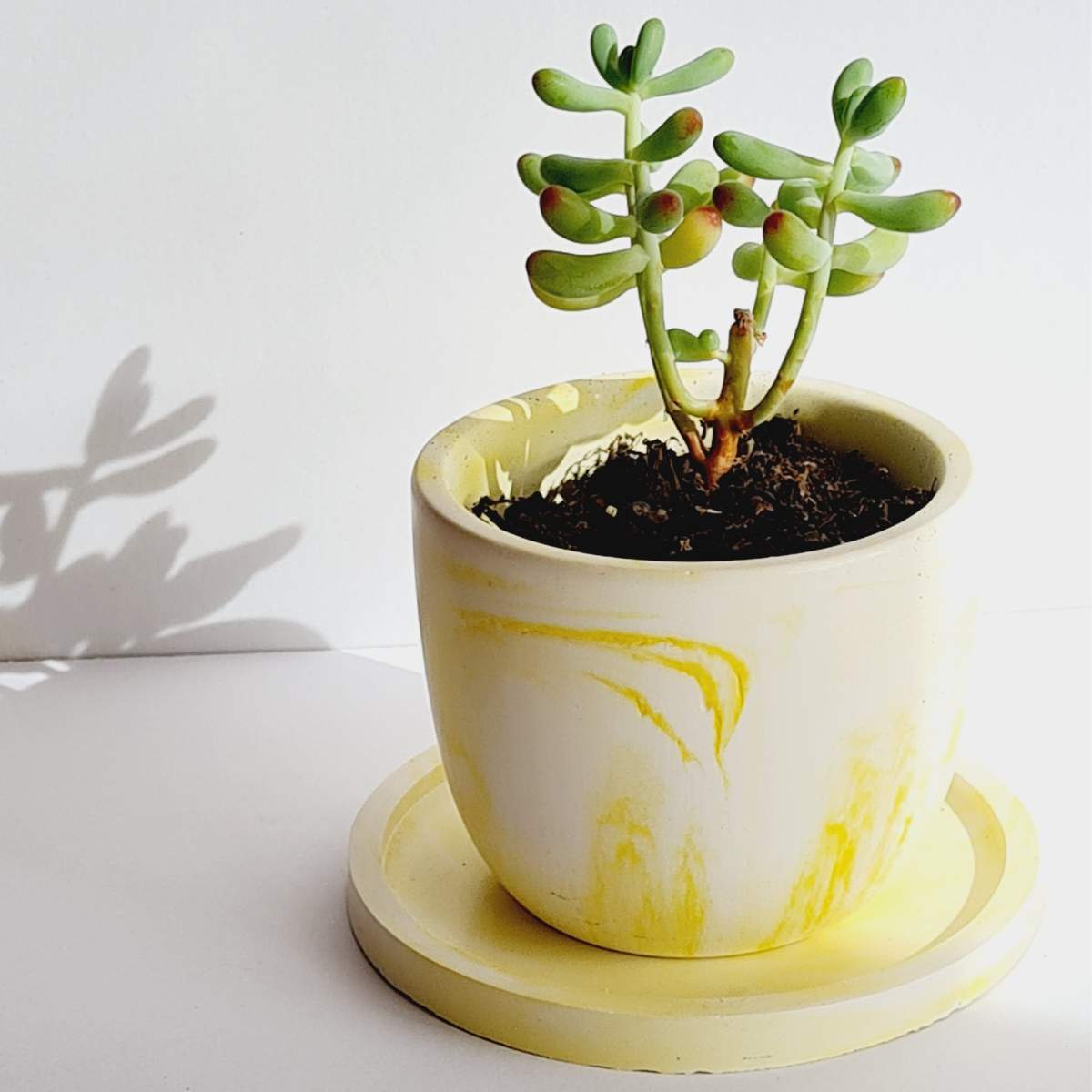 yellow handmade plant pot and saucer for small plants