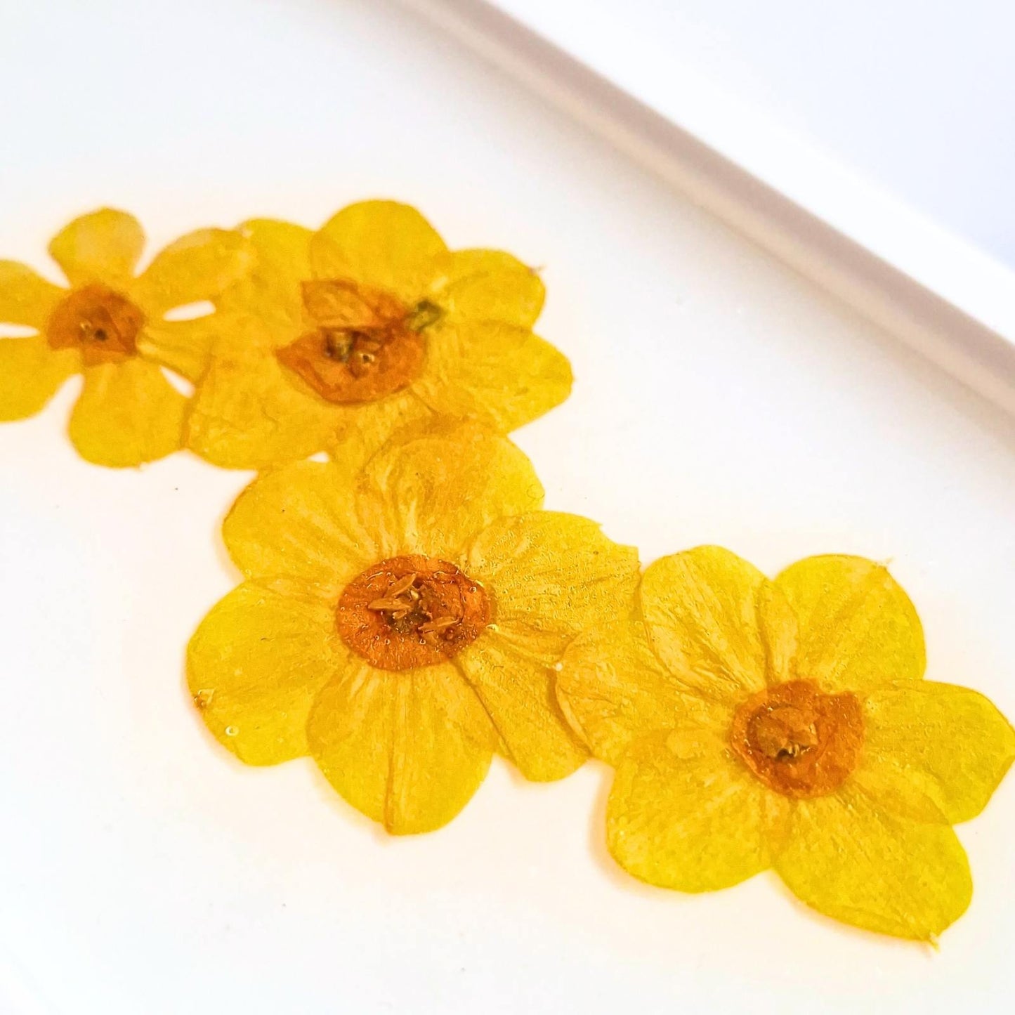 Botanical Oval Decorative Tray In Multiple Designs