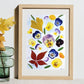 Pansy Collage Botanical Art Print – Pressed Flower Wall Art