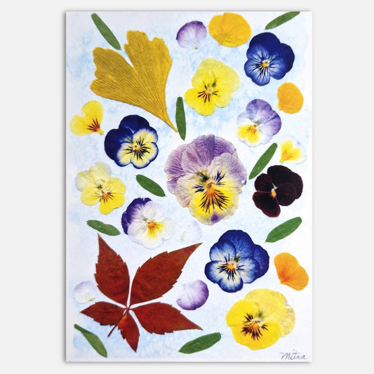 Pansy Collage Botanical Art Print – Pressed Flower Wall Art