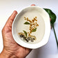 Medium Botanical Jewellery Dish | Preserved Australian Native Flowers | Handcrafted Resin