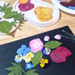 Pressed Flowers Art Workshop Melbourne