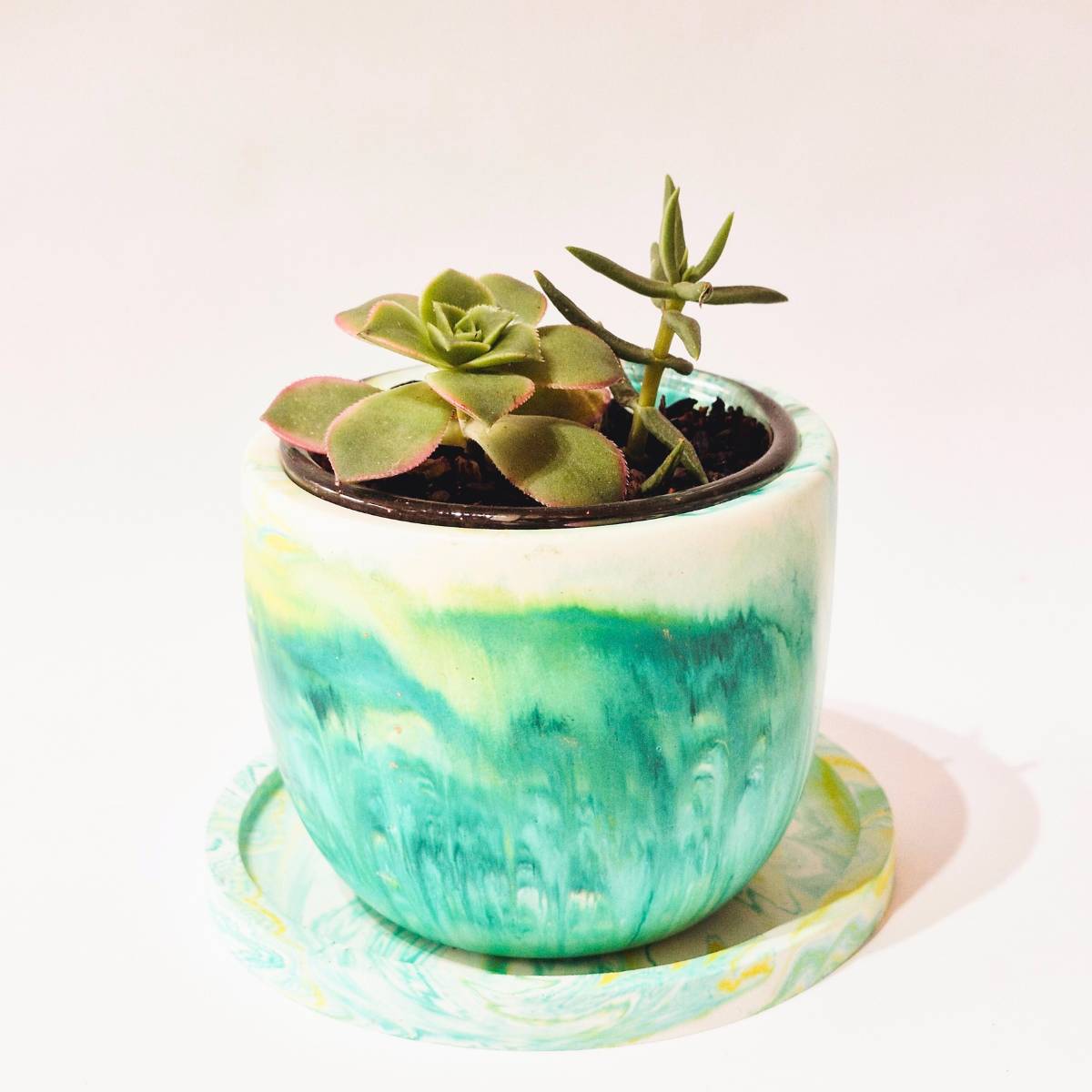 Green And Yellow Small Plant Pot With Saucer | Succulent Pot