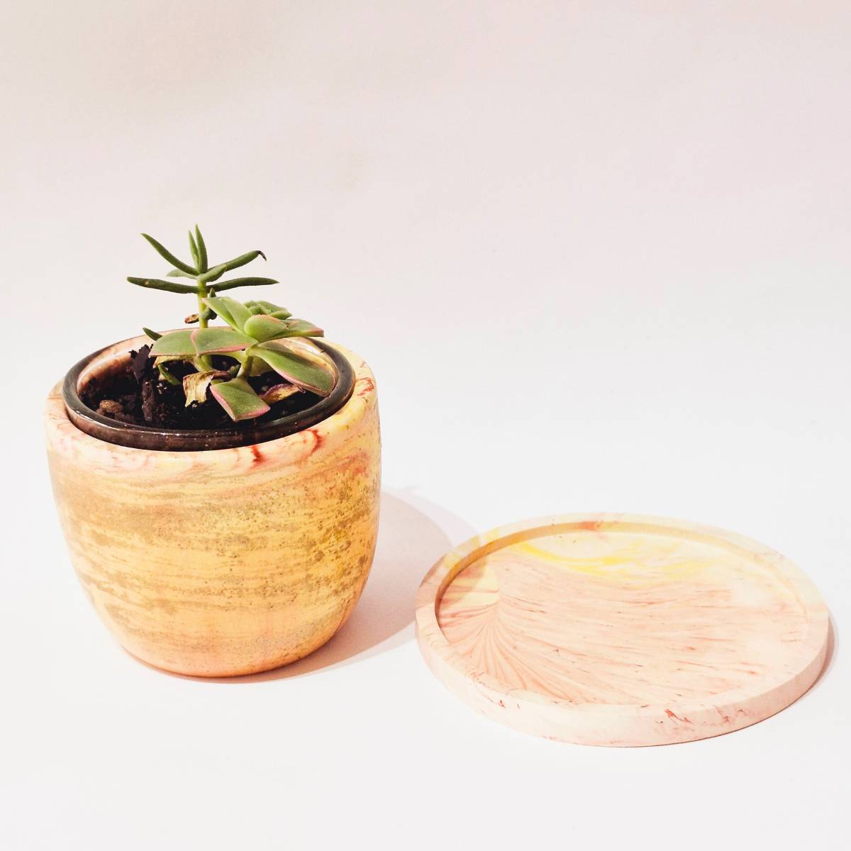 Small Succulent Plant Pot And Saucer | Beige And Gold