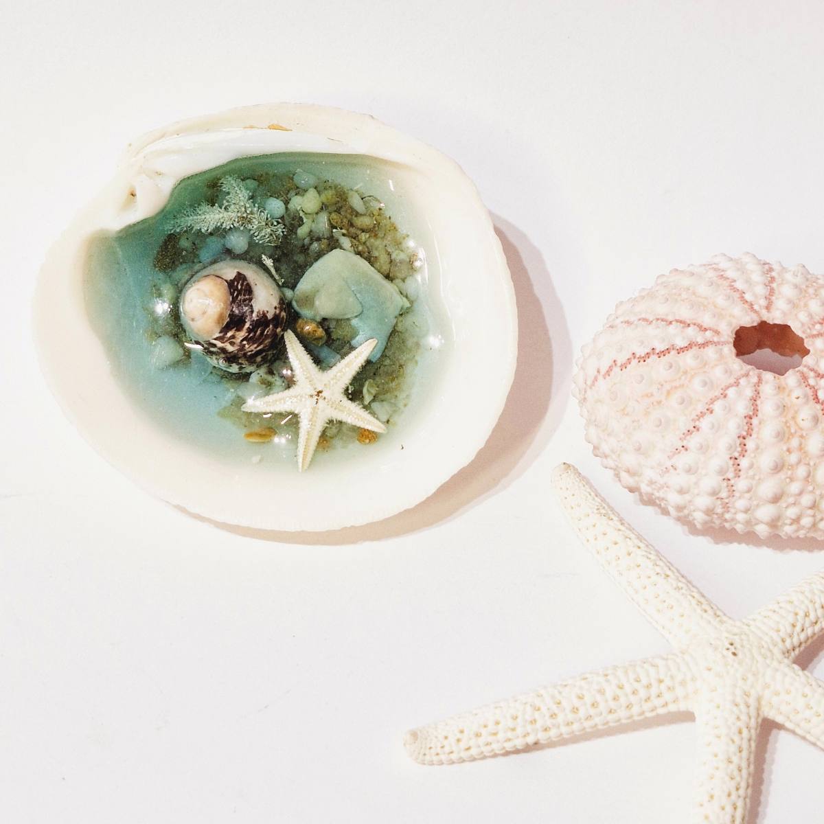 Small Shell And Resin Ring Dish | Unique Gift For Her