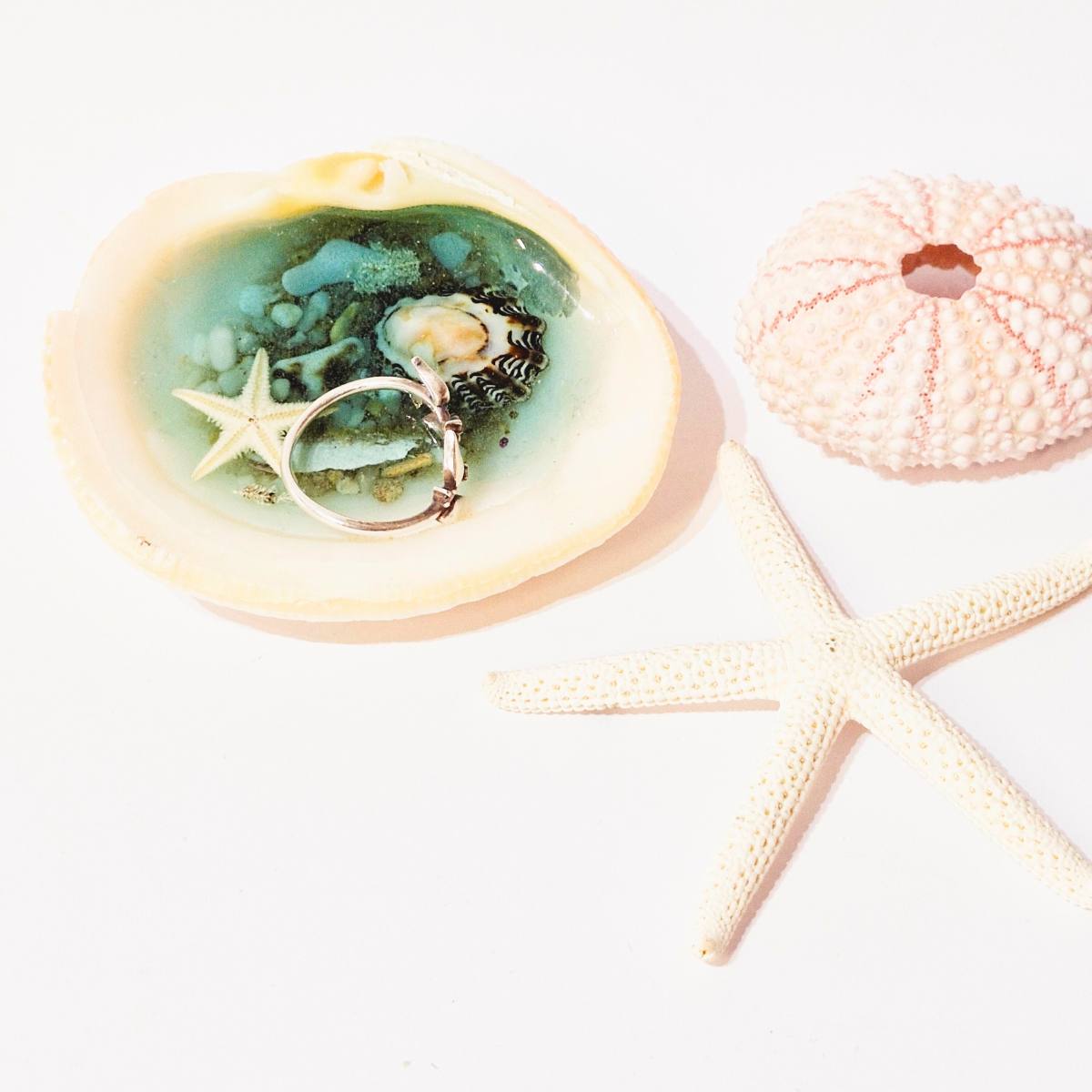 Small Shell And Resin Ring Dish | Unique Gift For Her